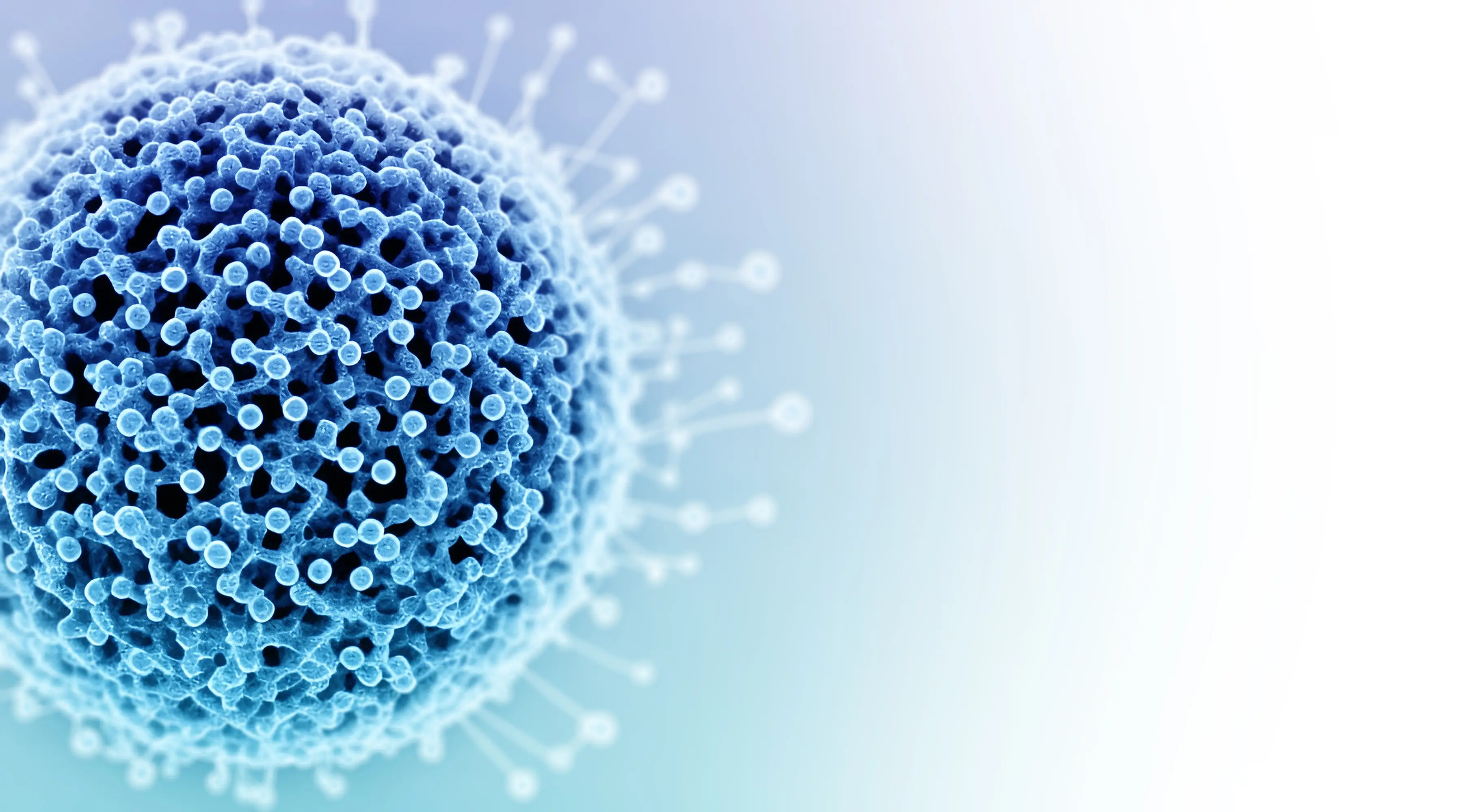 HPV Testi